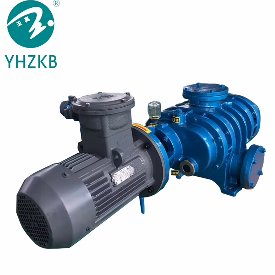 Roots Pumps Used for Chemical Industrial Vacuum Drying - Roots Vacuum Pump and Vacuum Pump