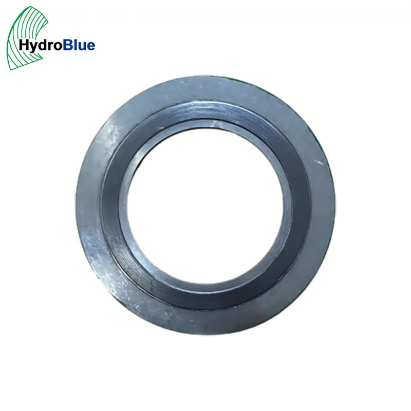 FLOWSERVE Precision Machined Oil Resistant Flow Pump Spare Parts Flange Gasket
