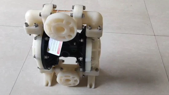 High Quality Industrial PP Pneumatic Diaphragm Pump - Diaphragm Pump and Pneumatic Diaphragm Pump
